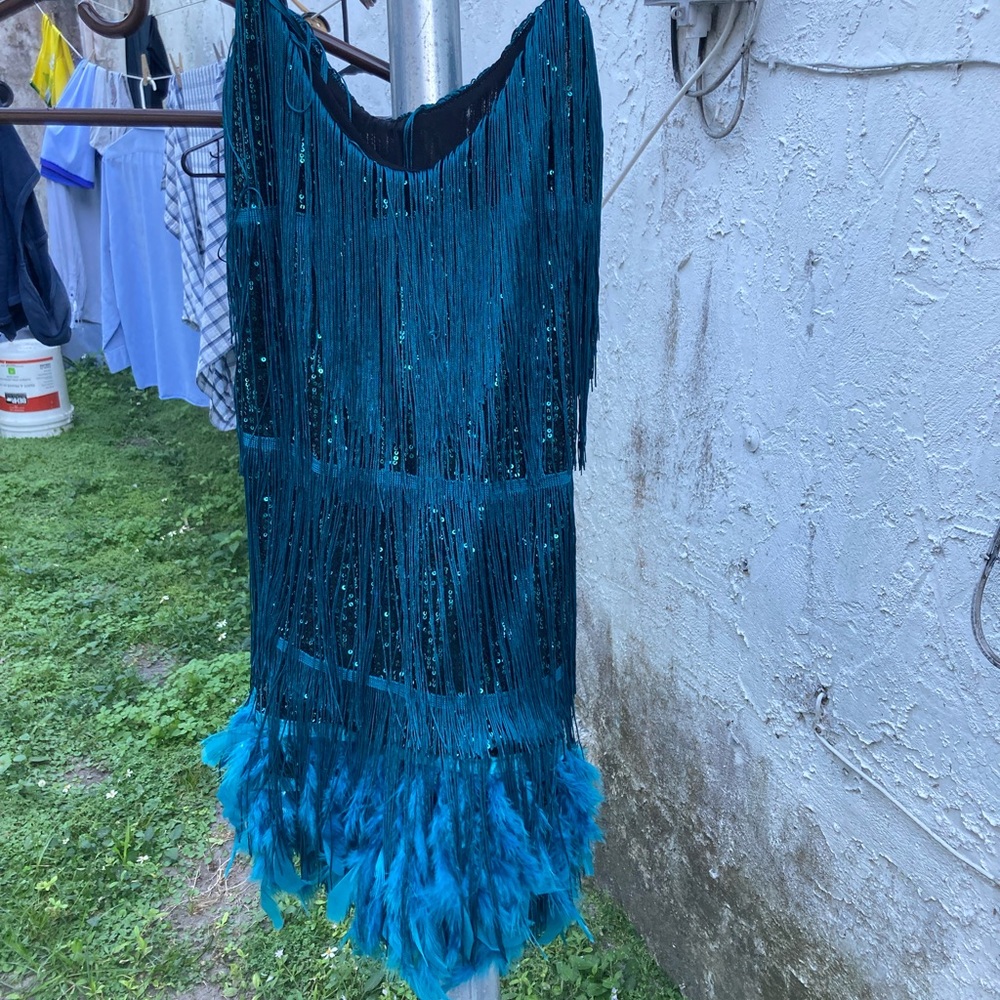 Sequin, fringe, feather peacock 🦚 colored dress